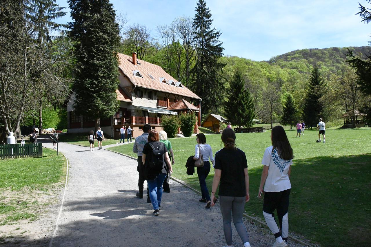 Čačinci