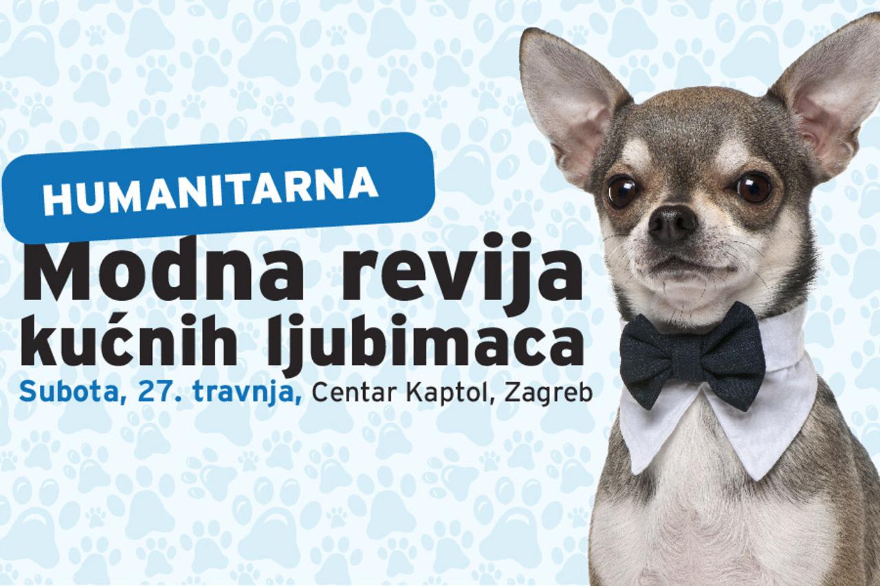 24sata ljubimci (1)