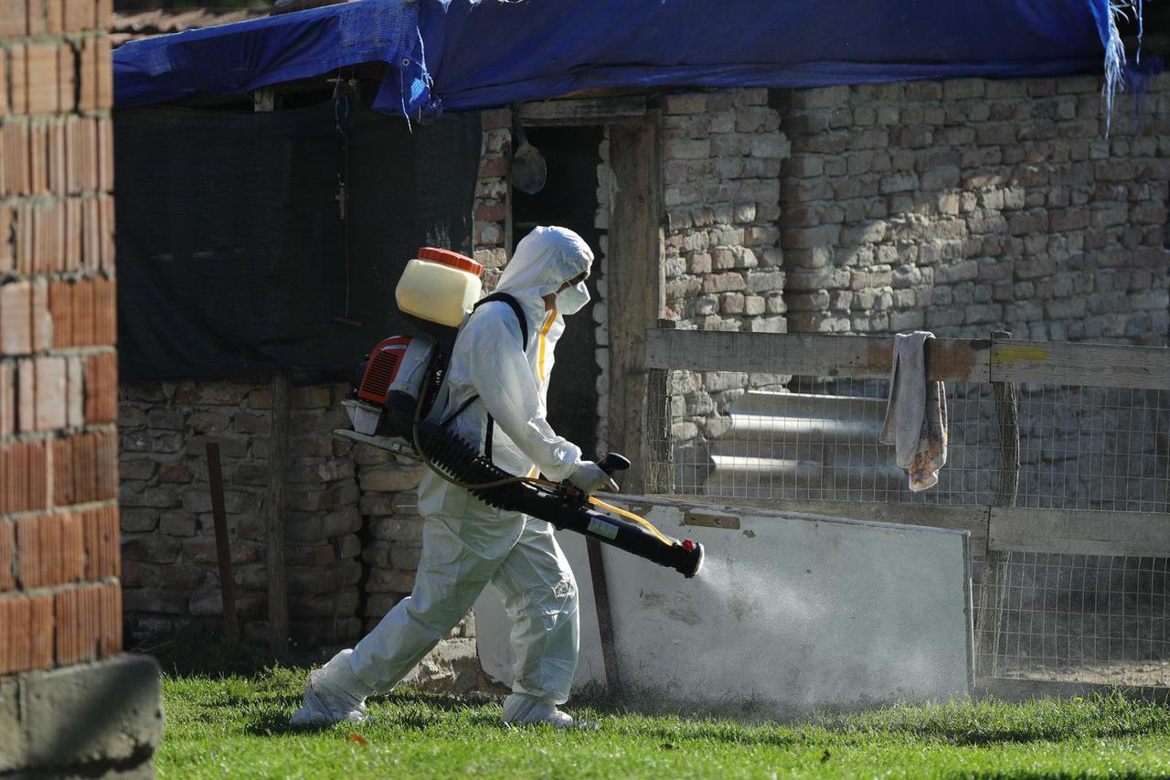 Odvoz svinja iz Vardarca gdje je zabilježena svinjska kuga