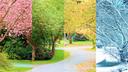 Are You a Summer or Winter Person? Your Favorite Season May Reveal Your Personality