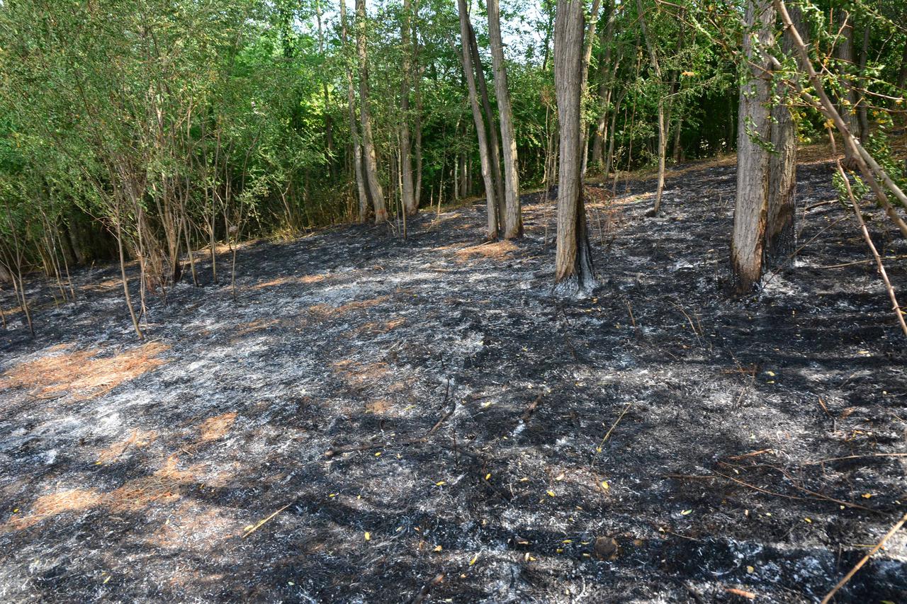 Slavonski Brod: Nedaleko kuće palio korov i poginuo u požaru