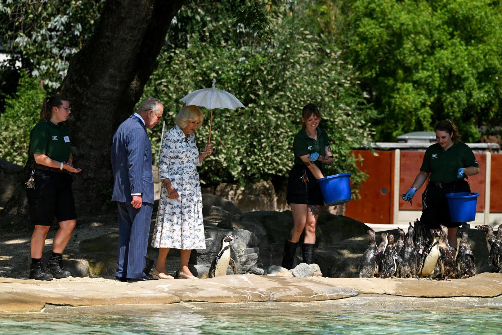Divovska kornjača Polly stara 32 godine uživala je u torti od lubenice s uklesanim brojem 200 i cvijećem, a kralj i kraljica pridružili su se i u zdravstvenom pregledu pingvina te razgledali izložbu o programu uzgoja i očuvanja ugrožene vrste puževa.