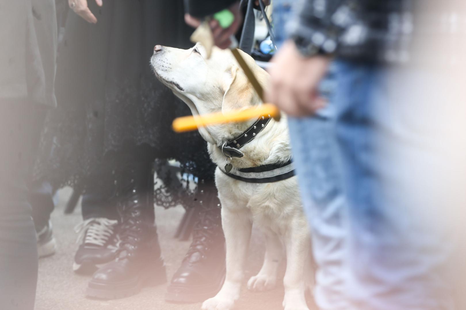 Duško vujošević preminuo je u srijedu osmog travnja. Najtrofejniji je trener u povijesti Partizana, a radio je i kao izbornik Srbije i Crne Gore te posljednje reprezentacije Jugoslavije koja je nastupala na Svjetskom prvenstvu 1991. u Edmontonu.
