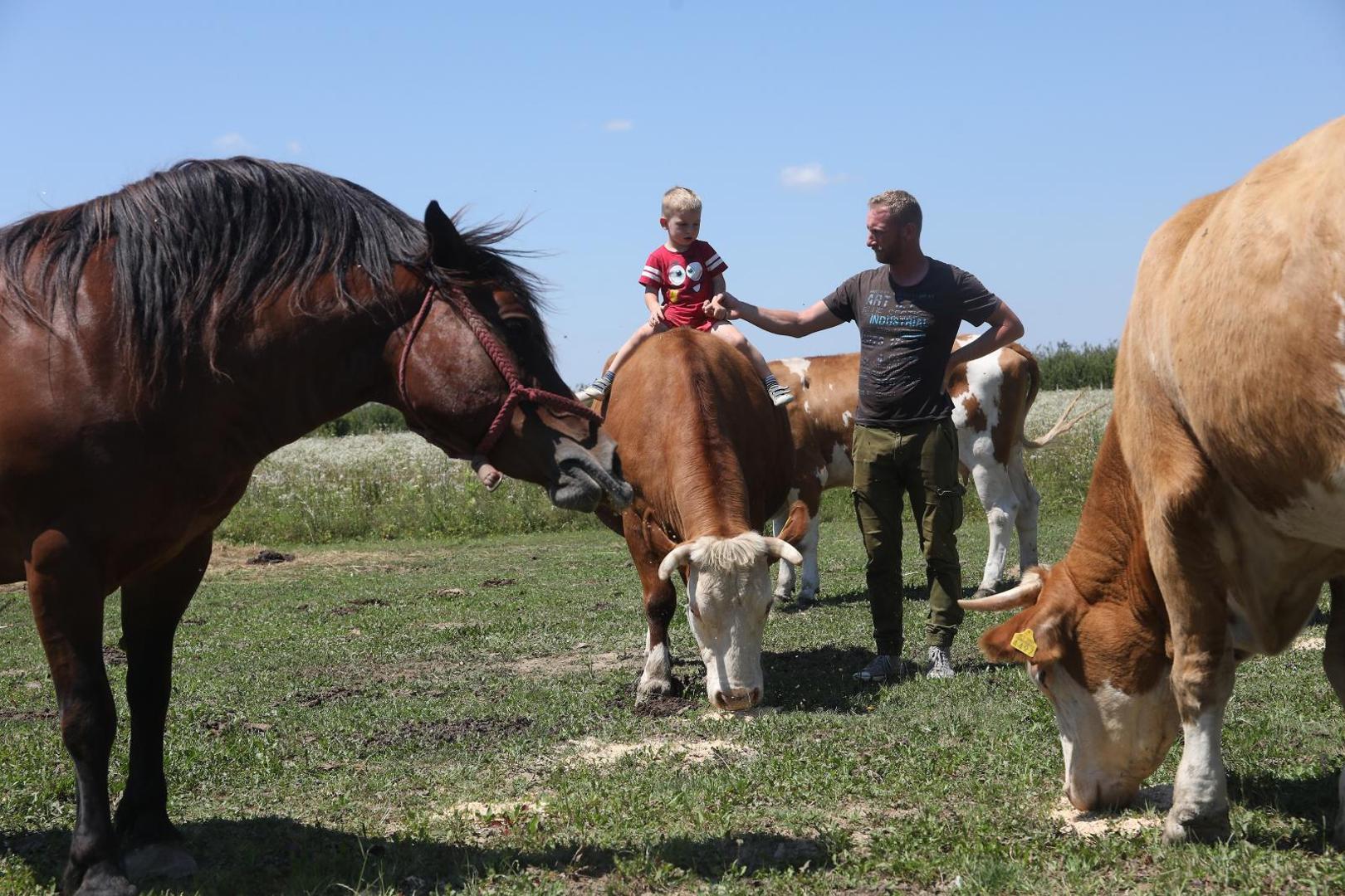 21.07.2020., Velika Gorica - Goran Speka, u selu Drnek kraj Oborova, bavi se stocarstvom i svinjogojstvom sa suprugom Ivanom i djecom Lucijom, Martinom i Matijom. 
Photo: Boris Scitar/Vecernji list/PIXSELL