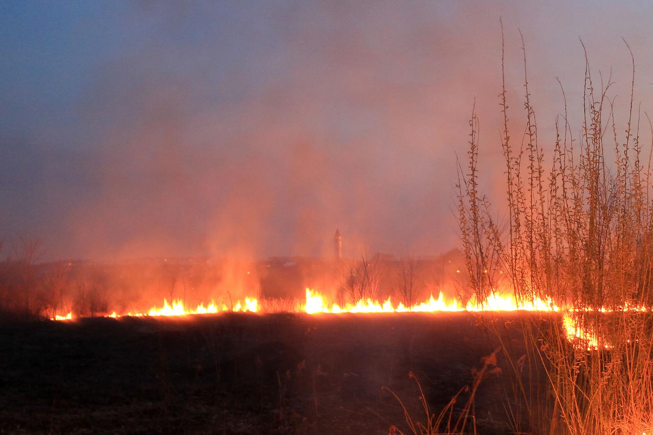 Zagreb: U Dubravi izbio požar izazvan spaljivanjem korova