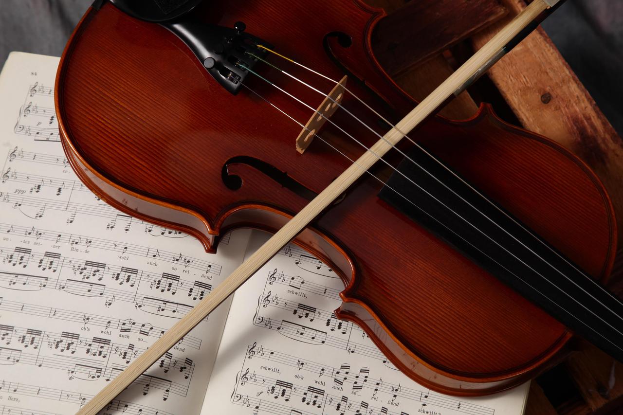 Violina