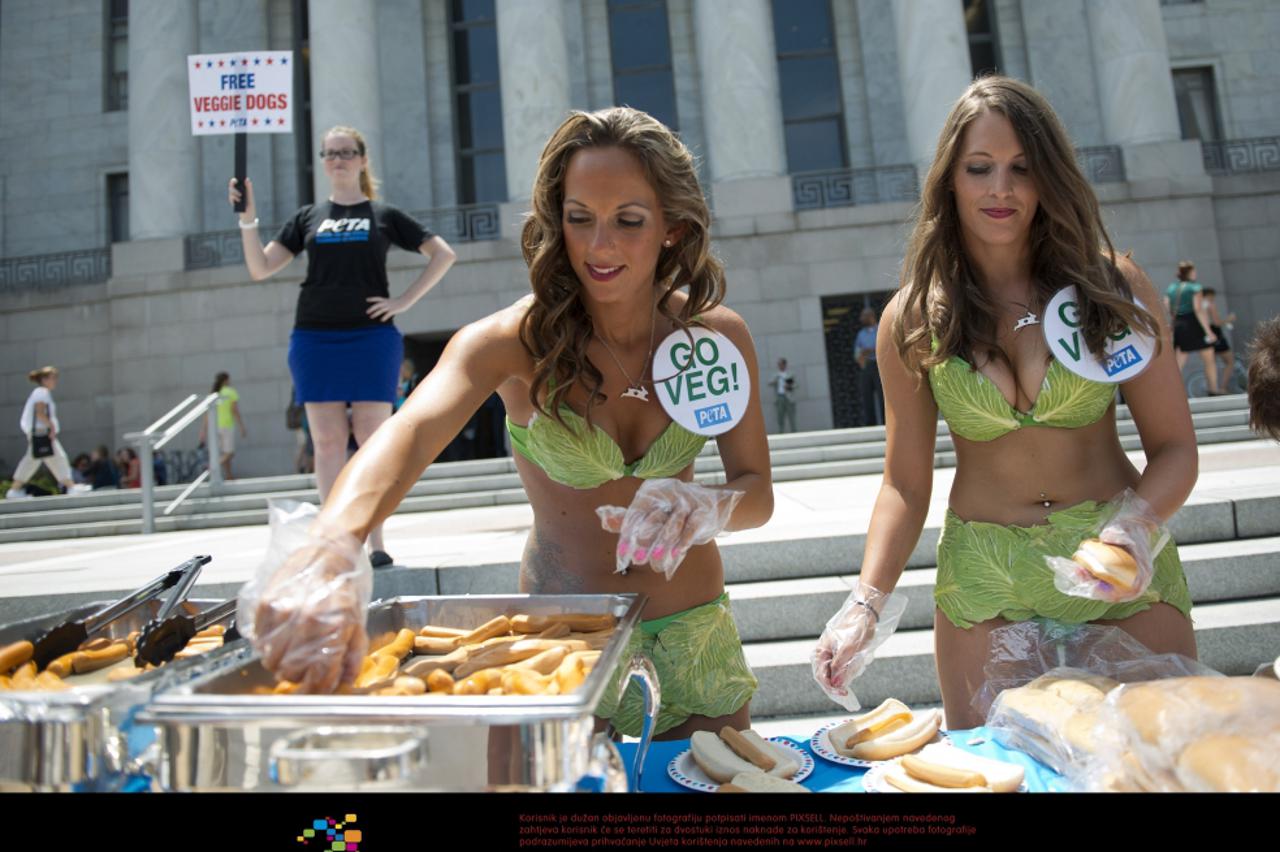 nacionalni dan vegetarijanskog hot-doga (1)