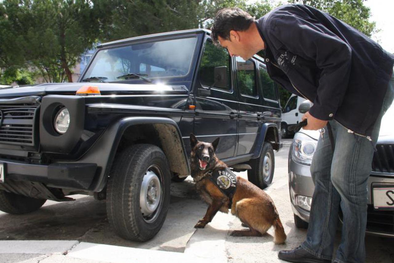 pas pik,pas droga,policijski pas (1)