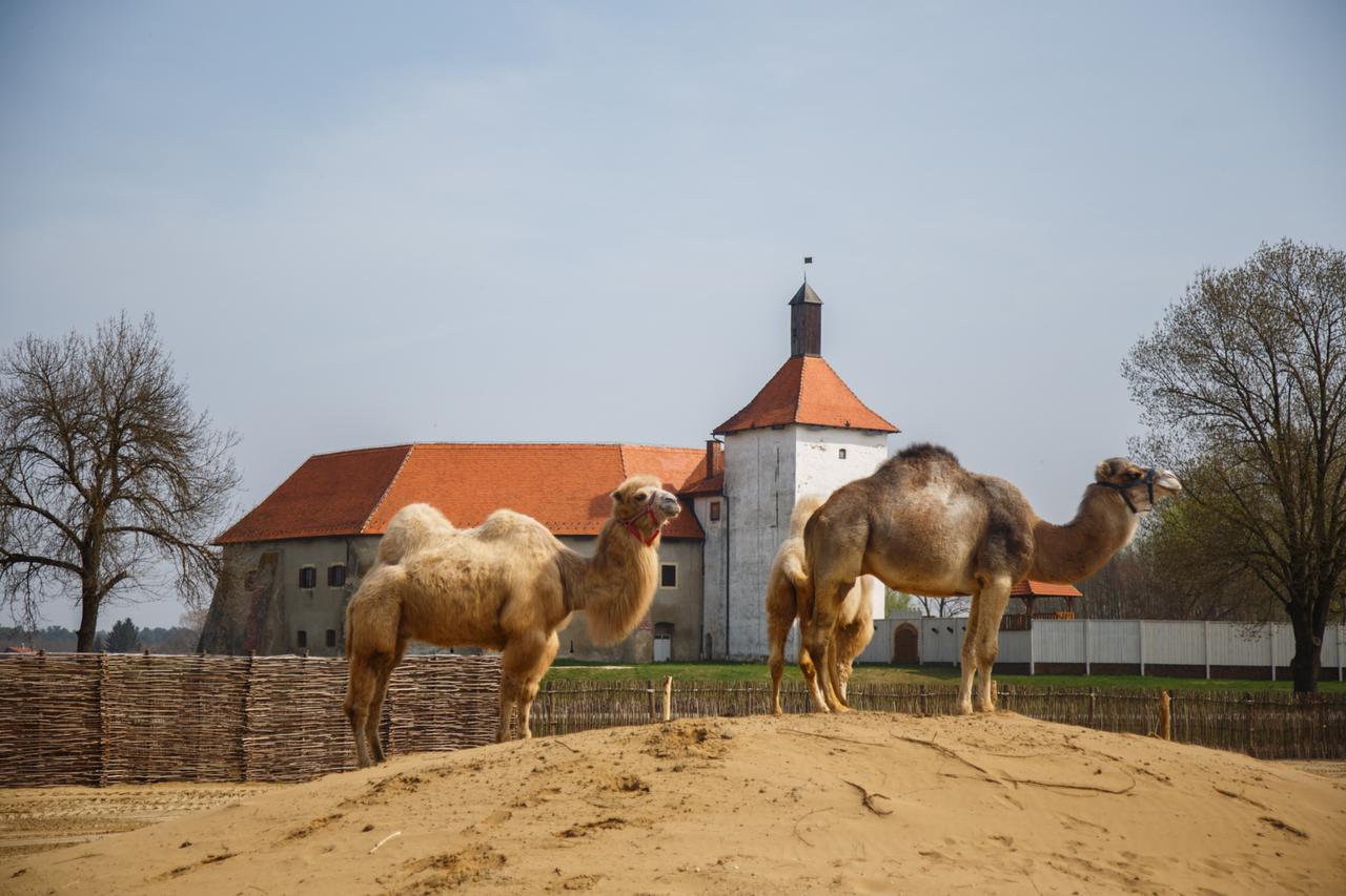 Podravina i Slavonija
