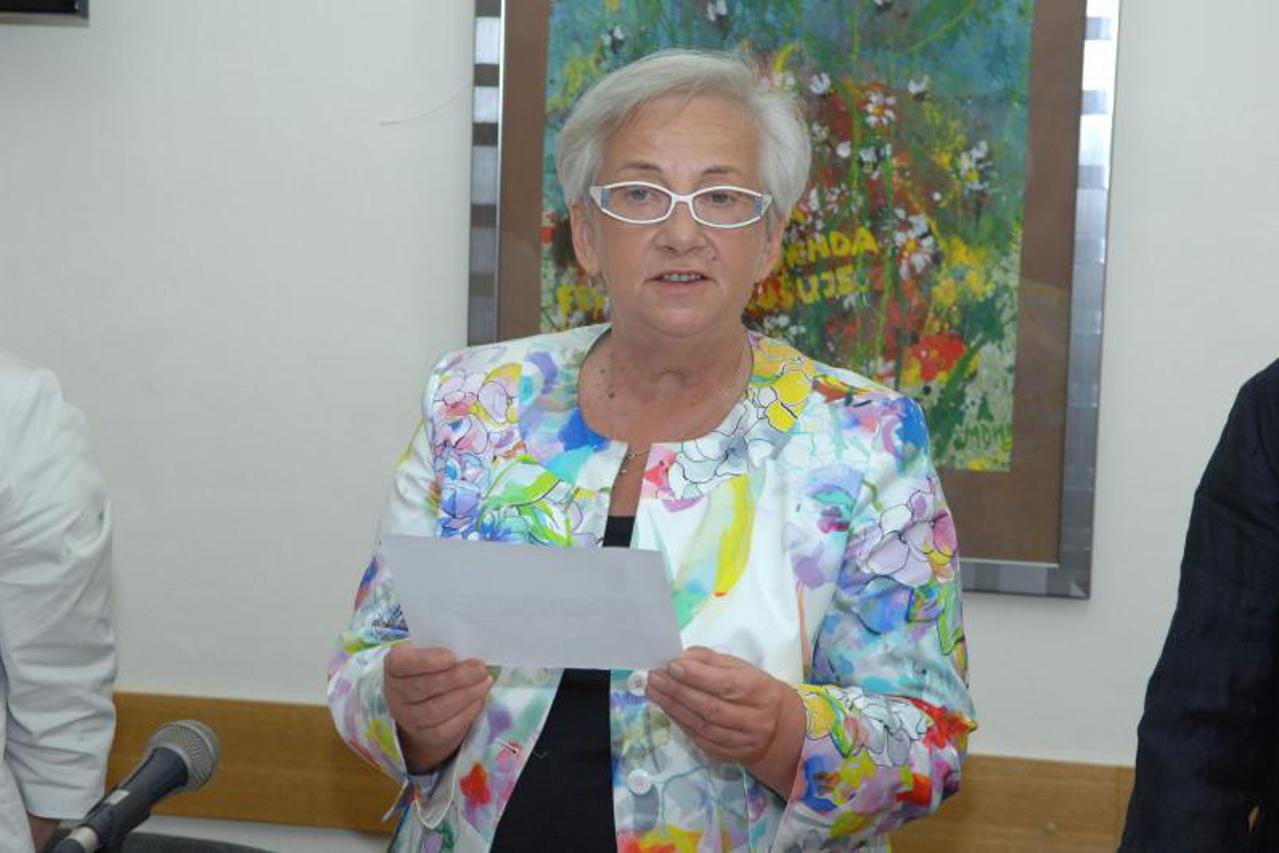 Vlasta Hubicki, portal (1)