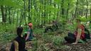 Radoboj is a unique location offering relaxation in a forest bath