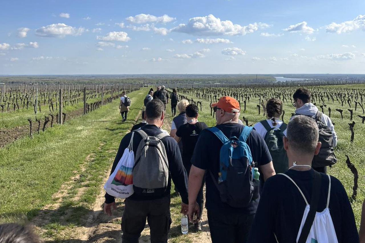 Vina Erdut Wine & Walk