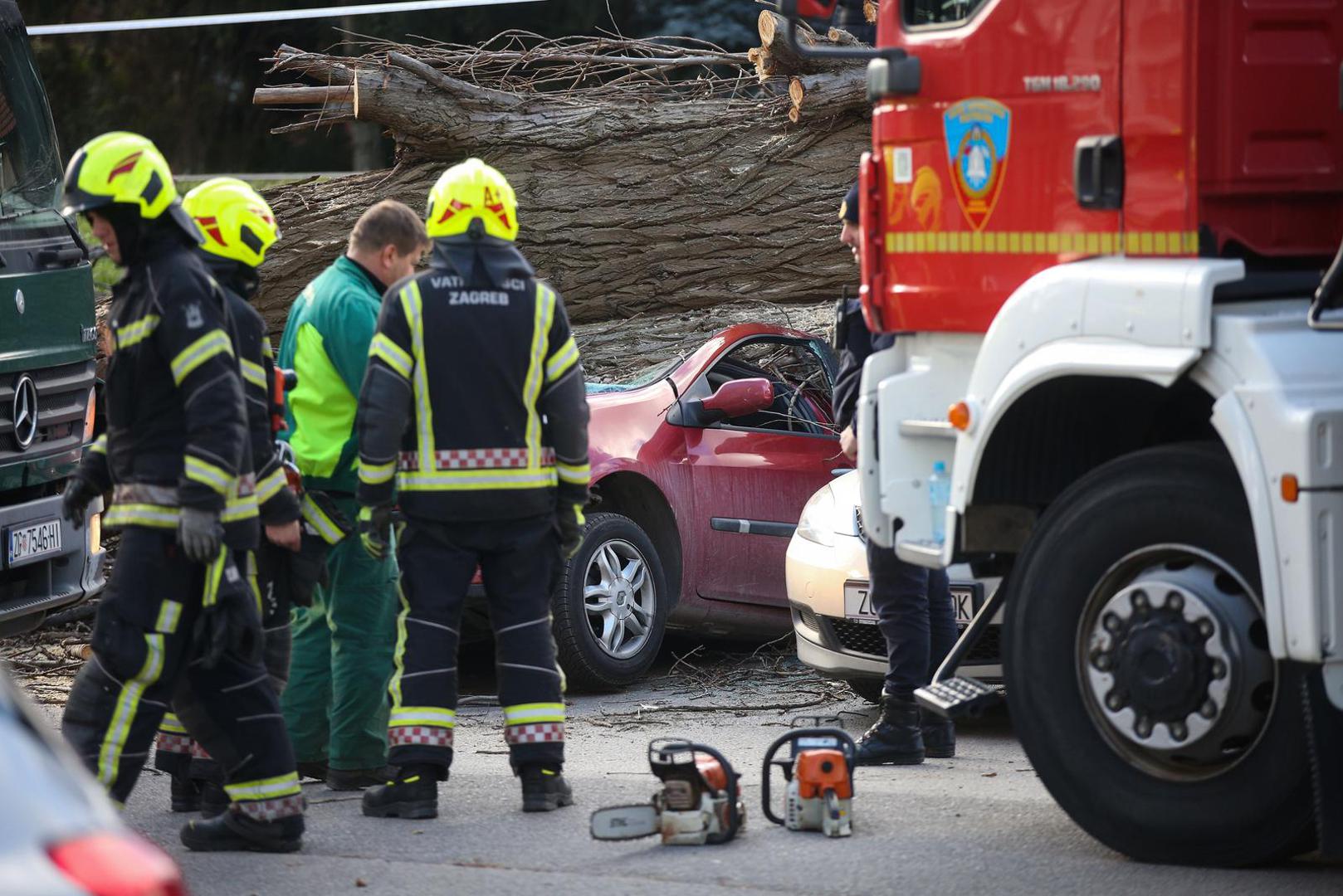 03.02.2023., Zagreb - Jak vjetar na Fallerovom setalistu srusio je stablo jablana na parkiraliste te ostetio vise vozila.  Photo: Zeljko Hladika/PIXSELL