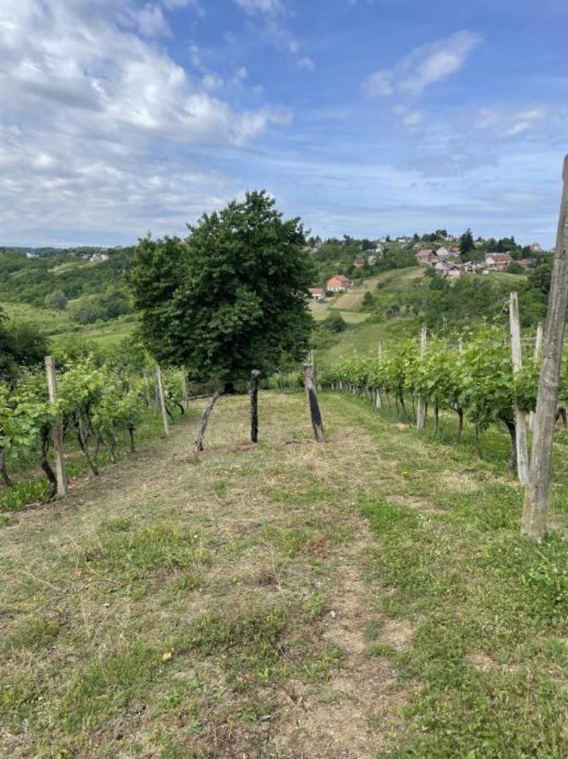 Sastoji se od podruma i prizemlja, jedna prostorija.

