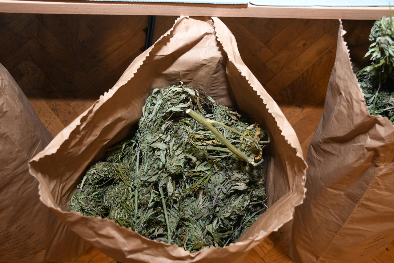 Petrinja: U akciji policije zaplijenjena veća količina marihuane