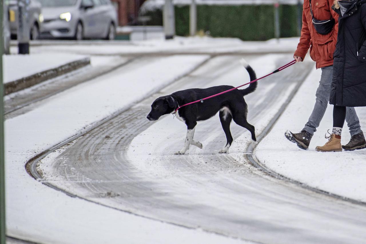 Winter weather in Mecklenburg-Western Pomerania