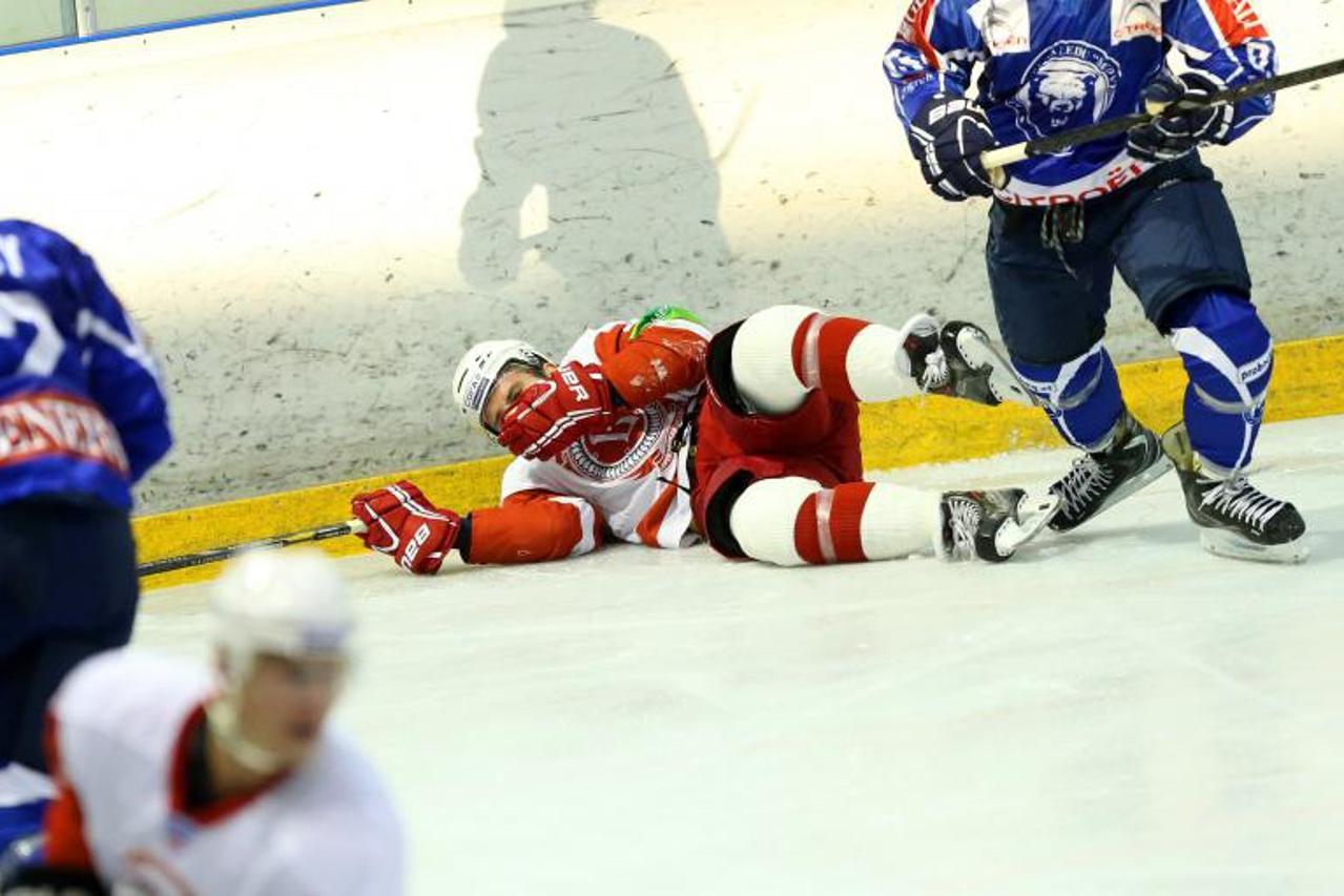 vitjaz,medveščak (1)