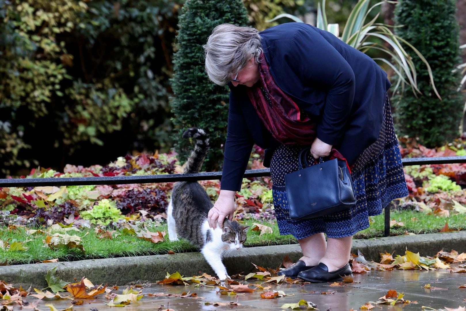 Larry je žestoko štitio svoj teritorij, često se boreći da bude glavni uz svojeg kolegu u ministarstvu vanjskih poslova Palmerstona. Njegov suparnik na kraju se povukao na selo.
