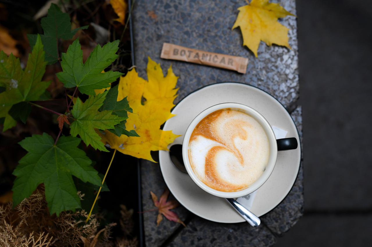 Zagreb: Luksuzno limitirano izdanje Single Origin Julius Meinl kave - Jamaica Blue Mountain