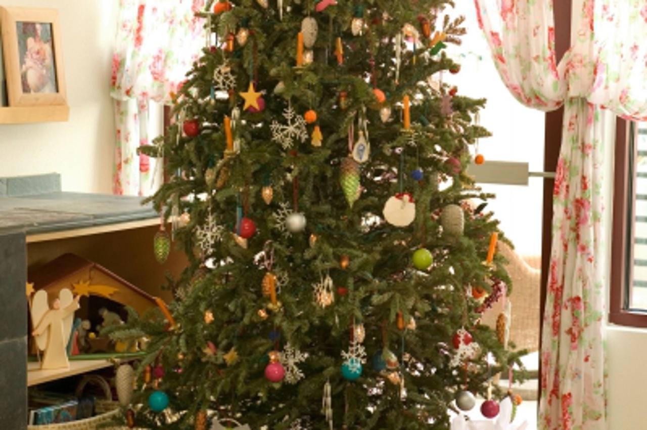 '87834753_pho_ziv_191110'