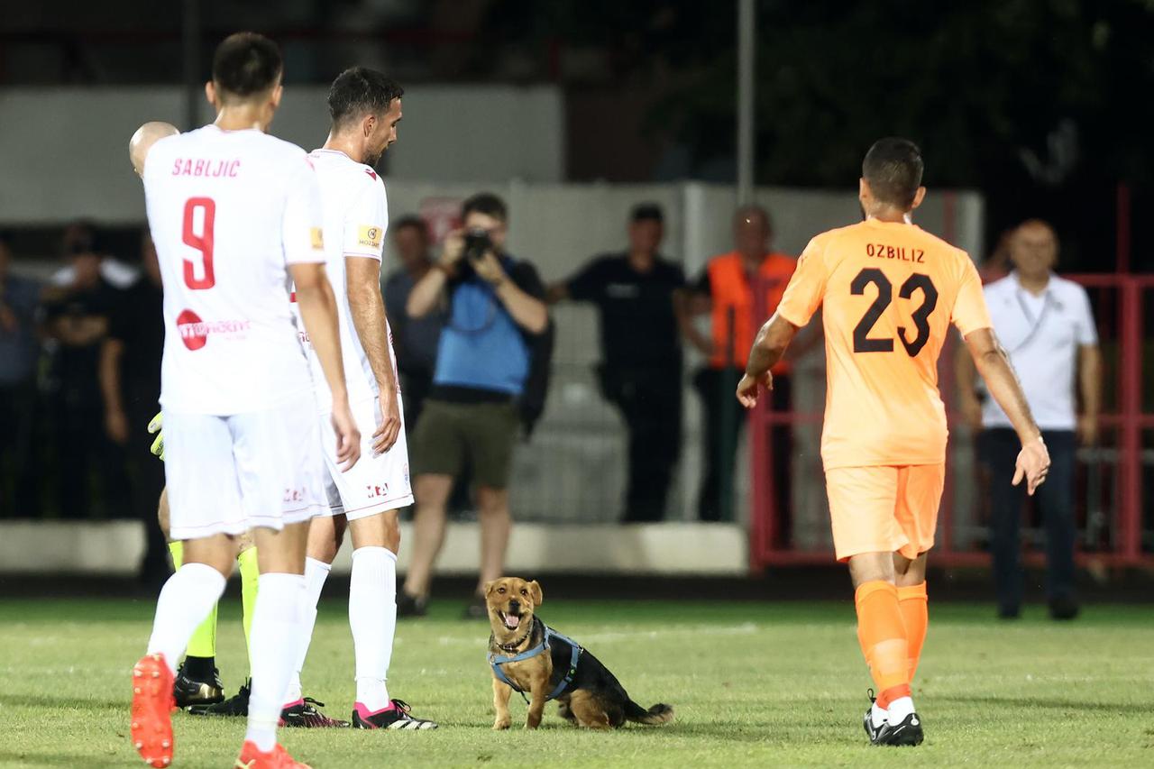 Mostar: Pas nakratko prekinuo utakmicu  HŠK Zrinjski i FC Urartu