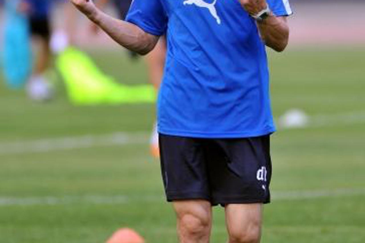 '11.07.2011., maksimirski stadion, Zagreb - Nogometasi GNK Dinamo odrzali su prvi trening na novoj travi i preuredjenom stadionu uoci utakmice Dinamo - Neftchi Baku. Damir Krznar.  Photo: Marko Lukuni
