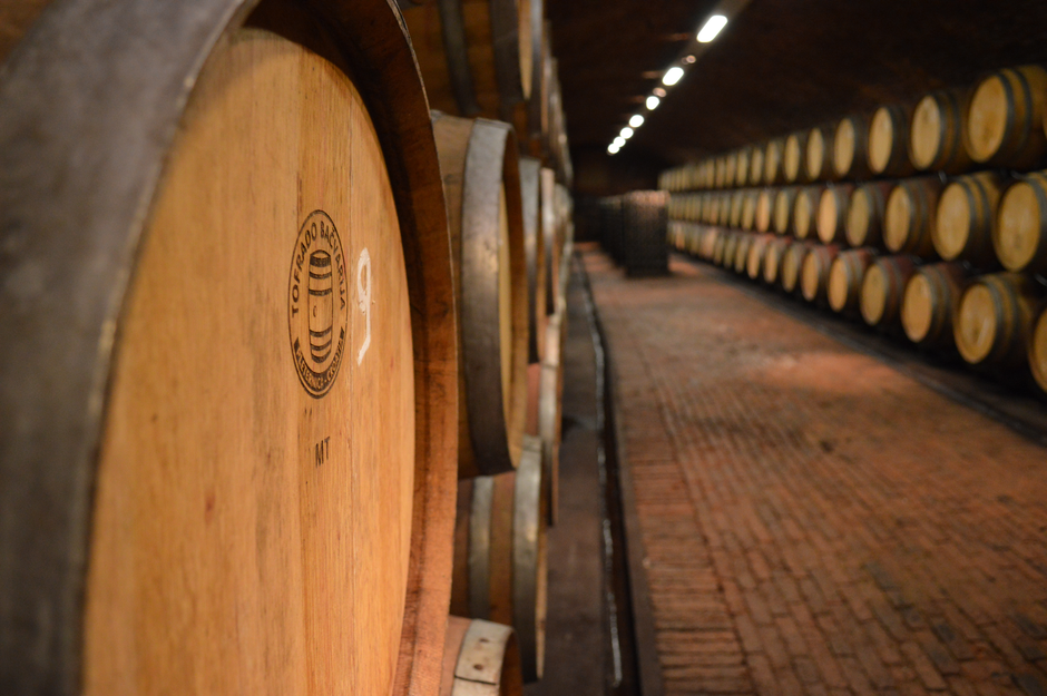 Odlična vina za blagdanski stol