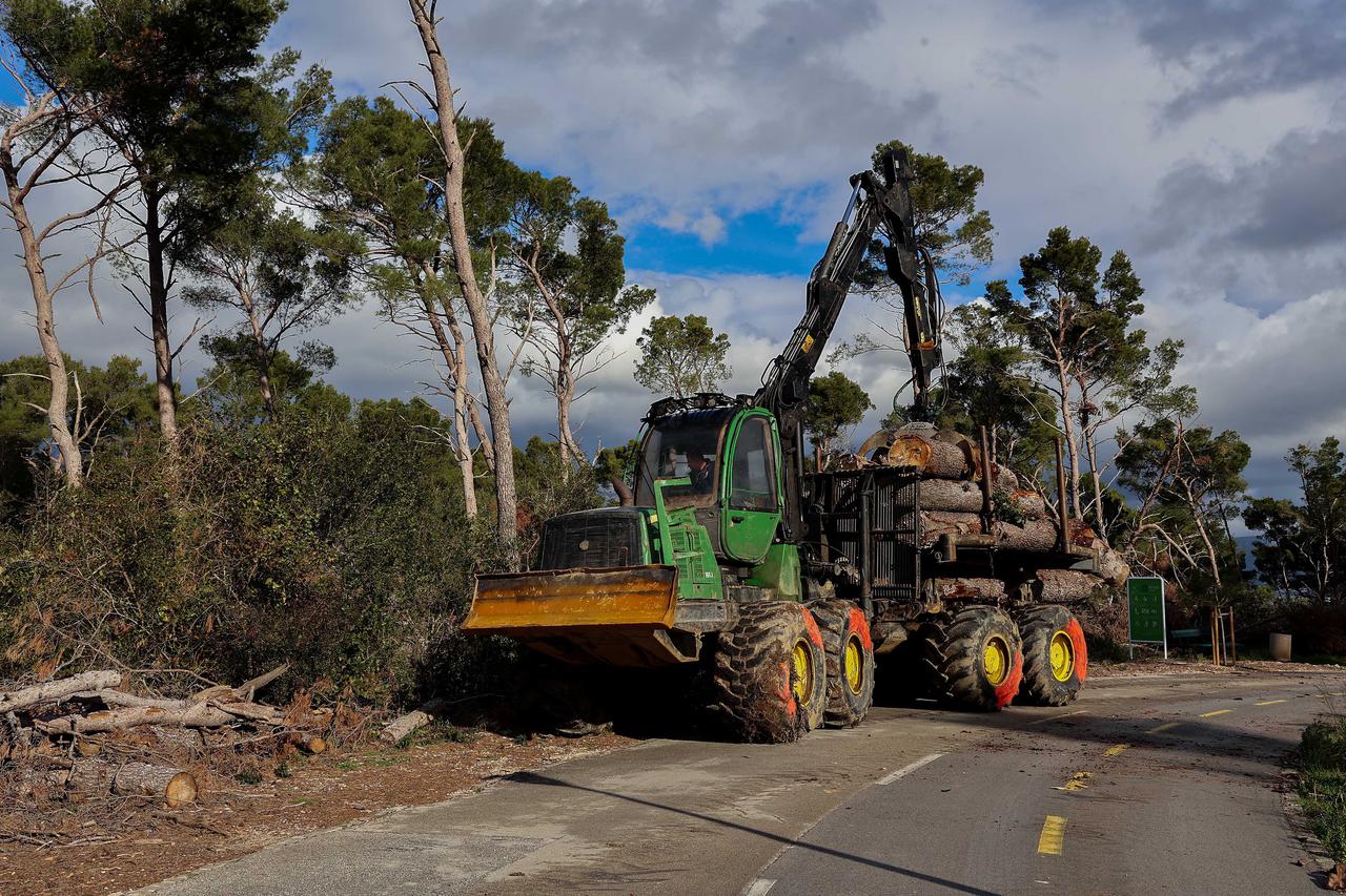 Split: Započeta sanacija Park šume Marjan nakon ljetne oluje 