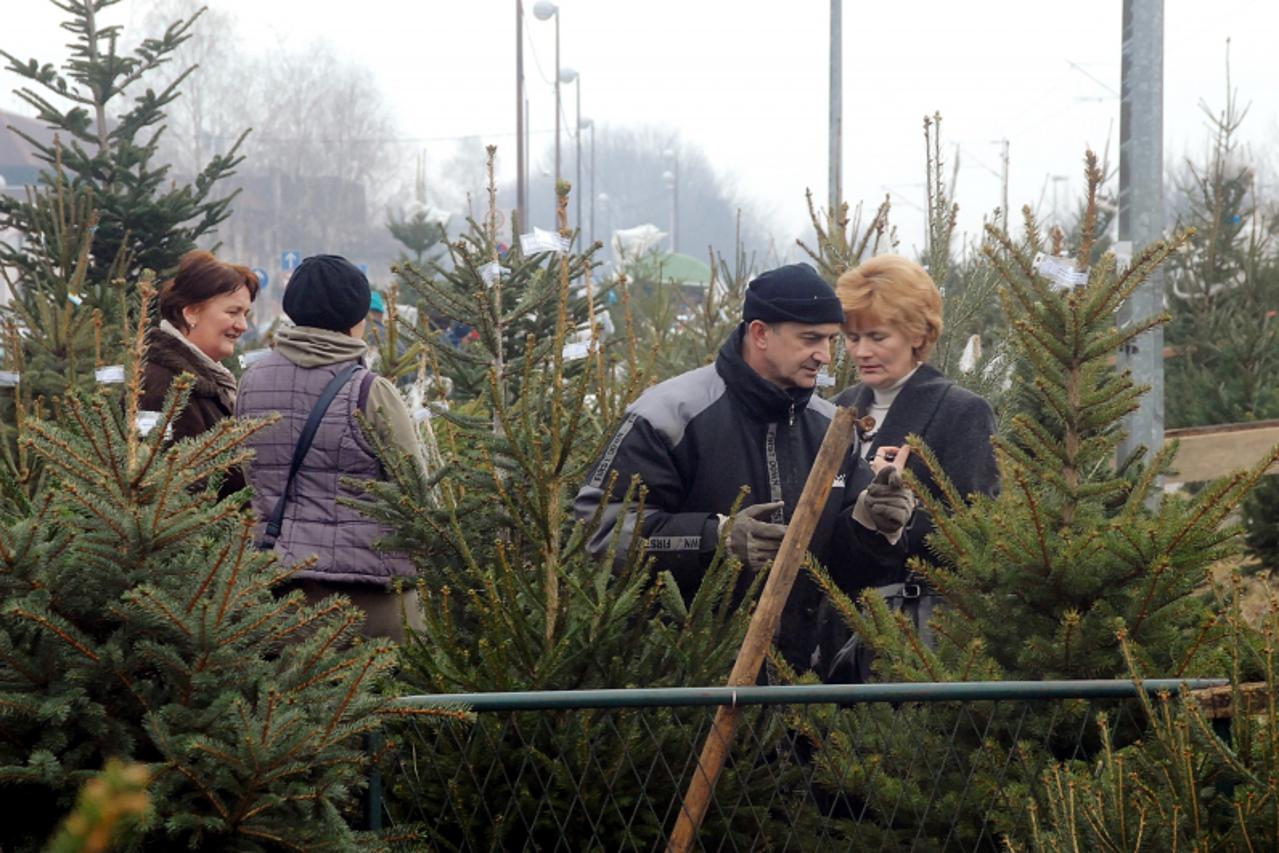 \'22.12.2010., Sisak - i ove godine ponuda bozicnih jelki na Gradskoj trznici velika je. Photo:Nikola Cutuk/PIXSELL\'