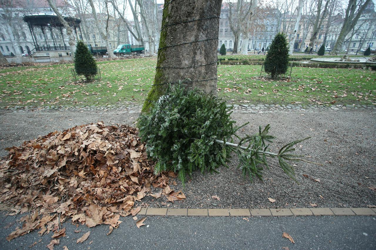 09.01.2015., Zagreb - Odbacena bozicna jelka pored hrpe lisca nesred parka Zrinjevac. Photo: Sanjin Strukic/PIXSELL