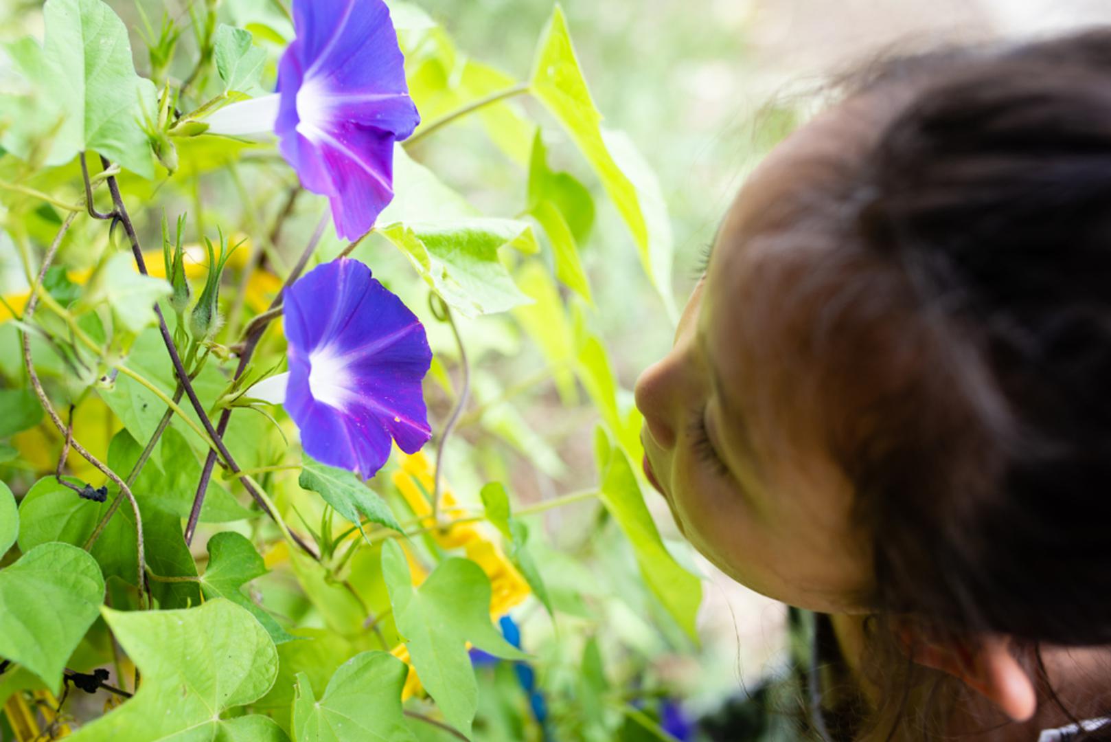 Rujanske bebe imaju dva prelijepa cvijeta rođenja: Cvjetovi rujna su aster i slak. Riječ aster potječe iz grčkog i znači zvijezda. I središta cvjetova slaka oblikovana su poput zvijezda. Ovi cvjetovi simboliziraju ljubav, nježnost i novi početak, baš kao i djeca rođena u ovom mjesecu.