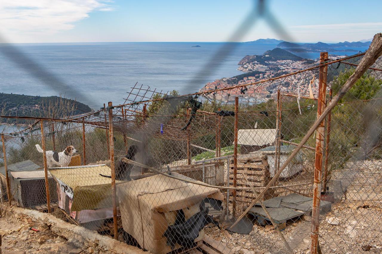 Dubrovnik: Orkanska bura uništila sklonište za zaštitu životinja 