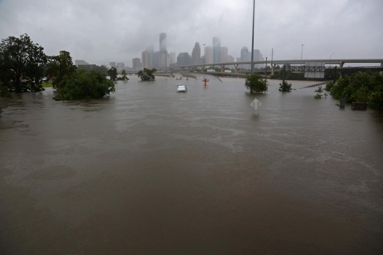harvey