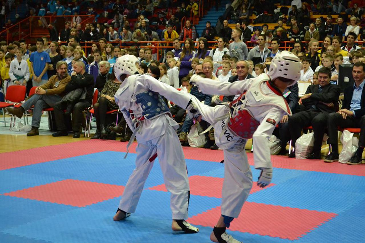 Lee Kwangbae Jastreb cup i 17. Jastreb limač open