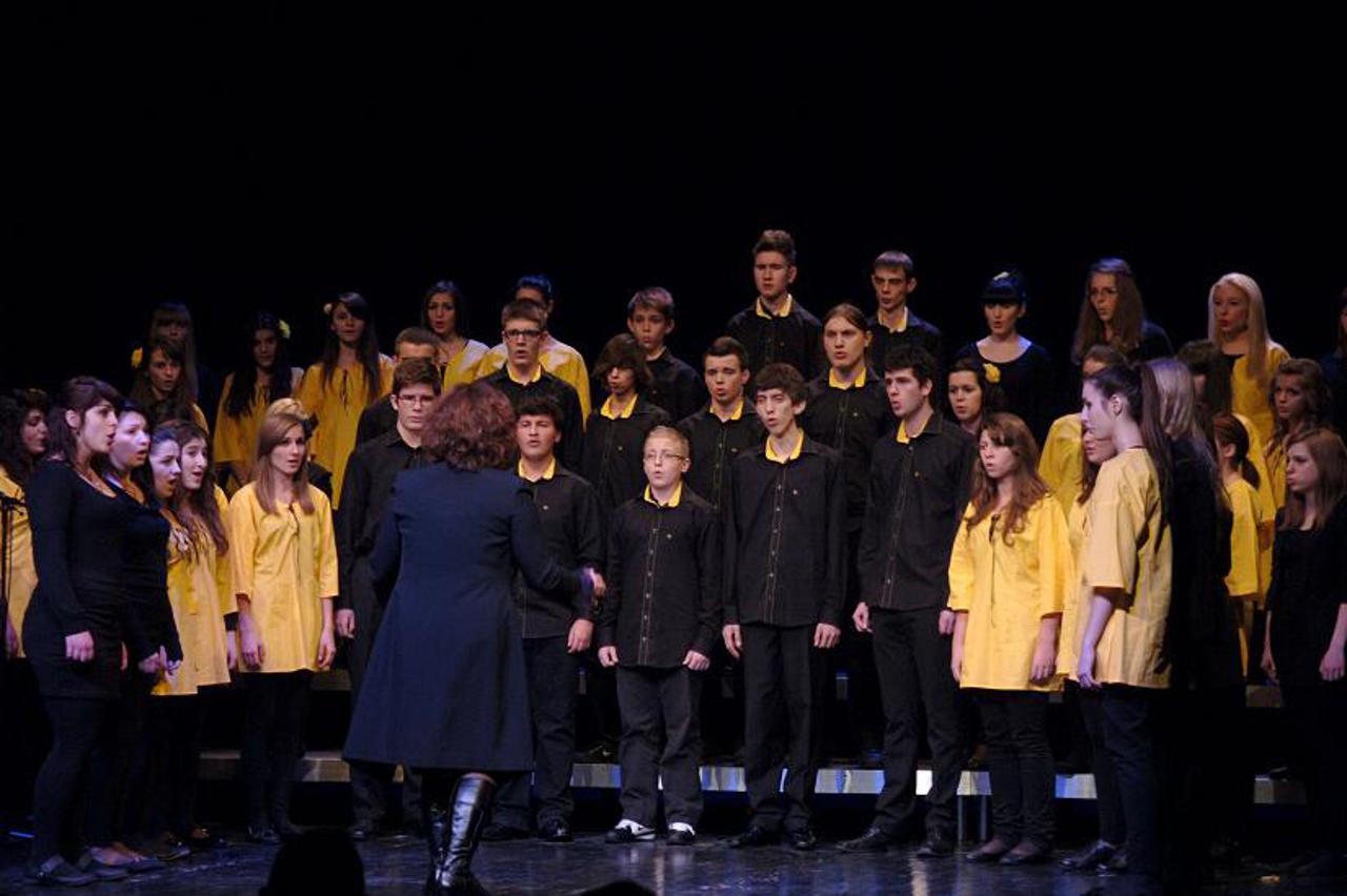 glazbena škola Požega