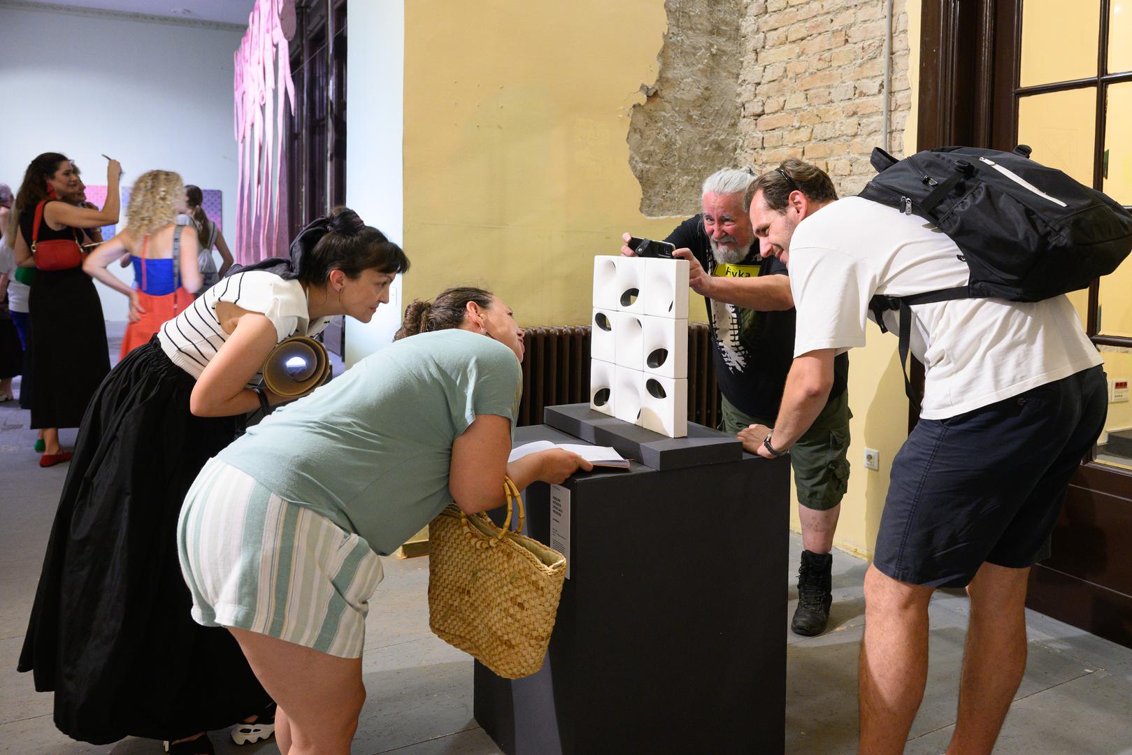 Na više zagrebačkih lokacija ovogodišnje, 61. izdanje Salona predstavlja 164 rada, kroz pet tematskih okvira - Nova funkcionalnost, Estetika otpornosti, Tijelo i prostor, Digitalna svakodnevica i Kritički dizajn