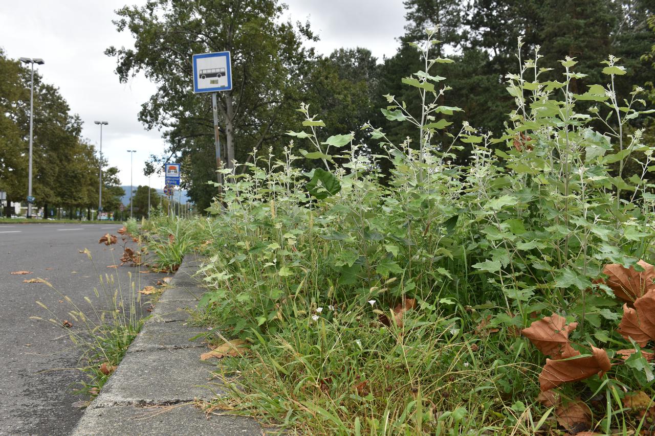 Zapuštene javne površine Grada Zagreba