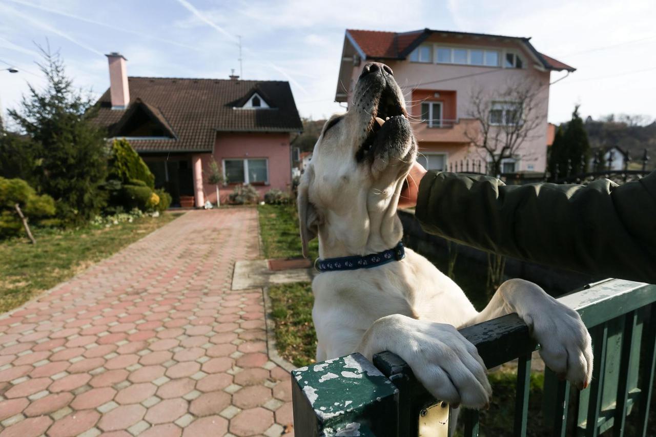 Goste u kvartu u kojem se nalazi dom Milanke Opačić dočekuje njezin 2,5-godišnji labrador