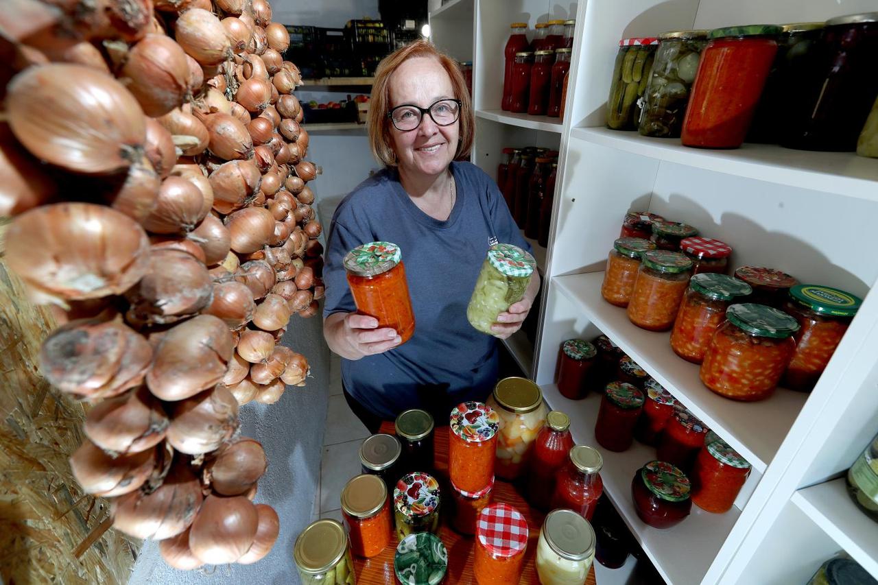 Zimnica Radojke Milevoj