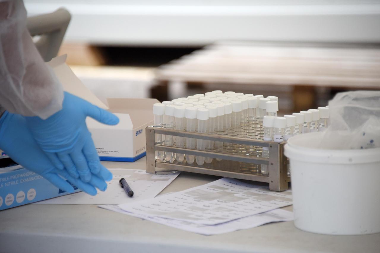 Pula: Testiranje na koronavirus