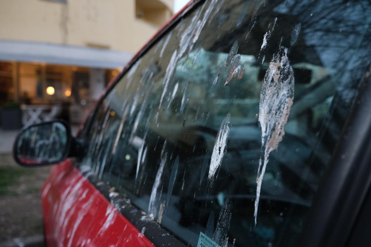 Zagreb: Automobili u naselju Središće prekriveni su izmetom vrana