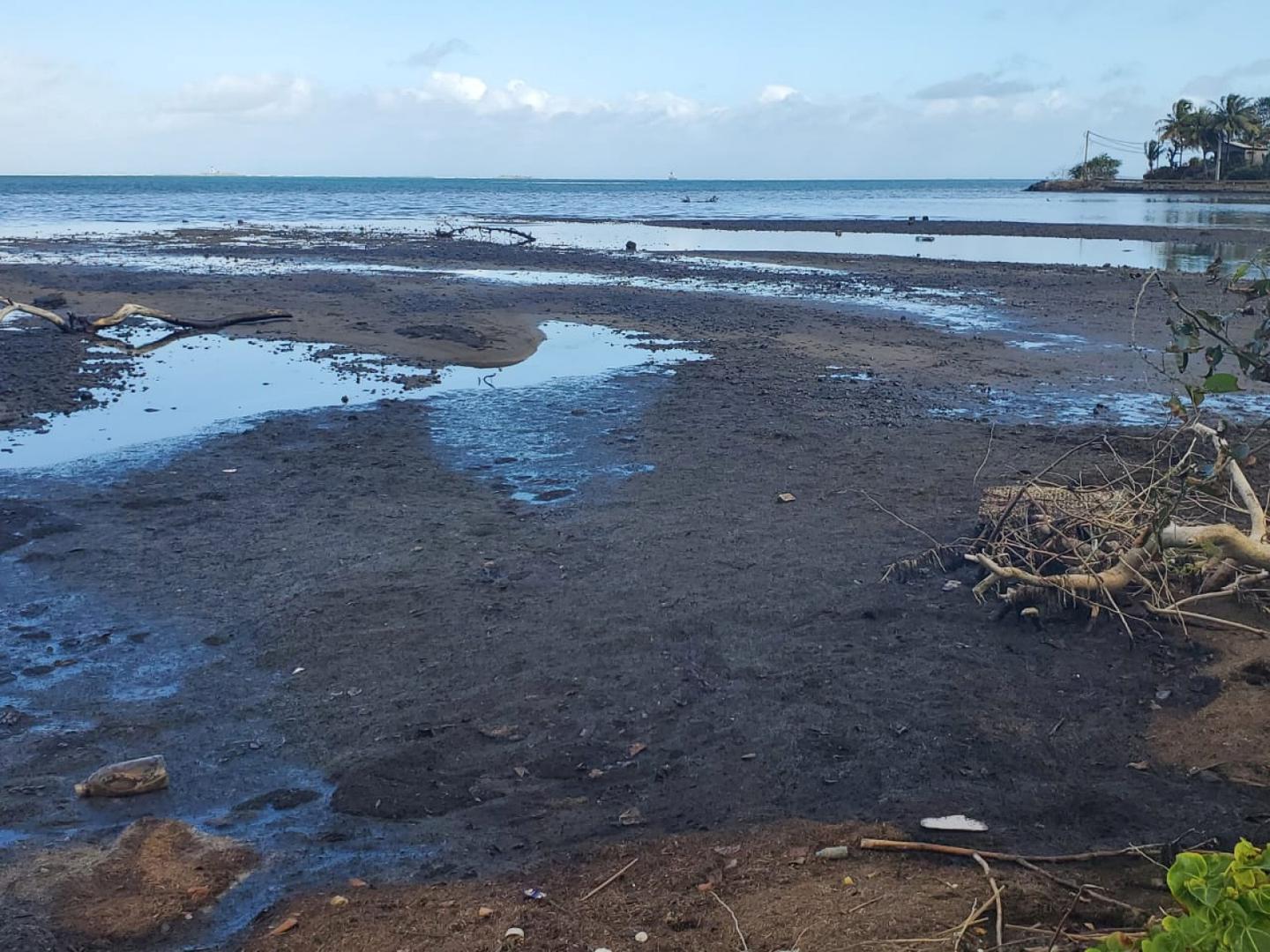 A coastline near Bois Des Amourettes is seen after Japanese bulk carrier MV Wakashio has struck a coral reef causing an oil spill A coastline near Bois Des Amourettes is seen after Japanese bulk carrier MV Wakashio has struck a coral reef causing an oil spill, in Mauritius, August 18, 2020 in this picture obtained from social media. Picture obtained by REUTERS  THIS IMAGE HAS BEEN SUPPLIED BY A THIRD PARTY. NO RESALES. NO ARCHIVES. OBTAINED BY REUTERS