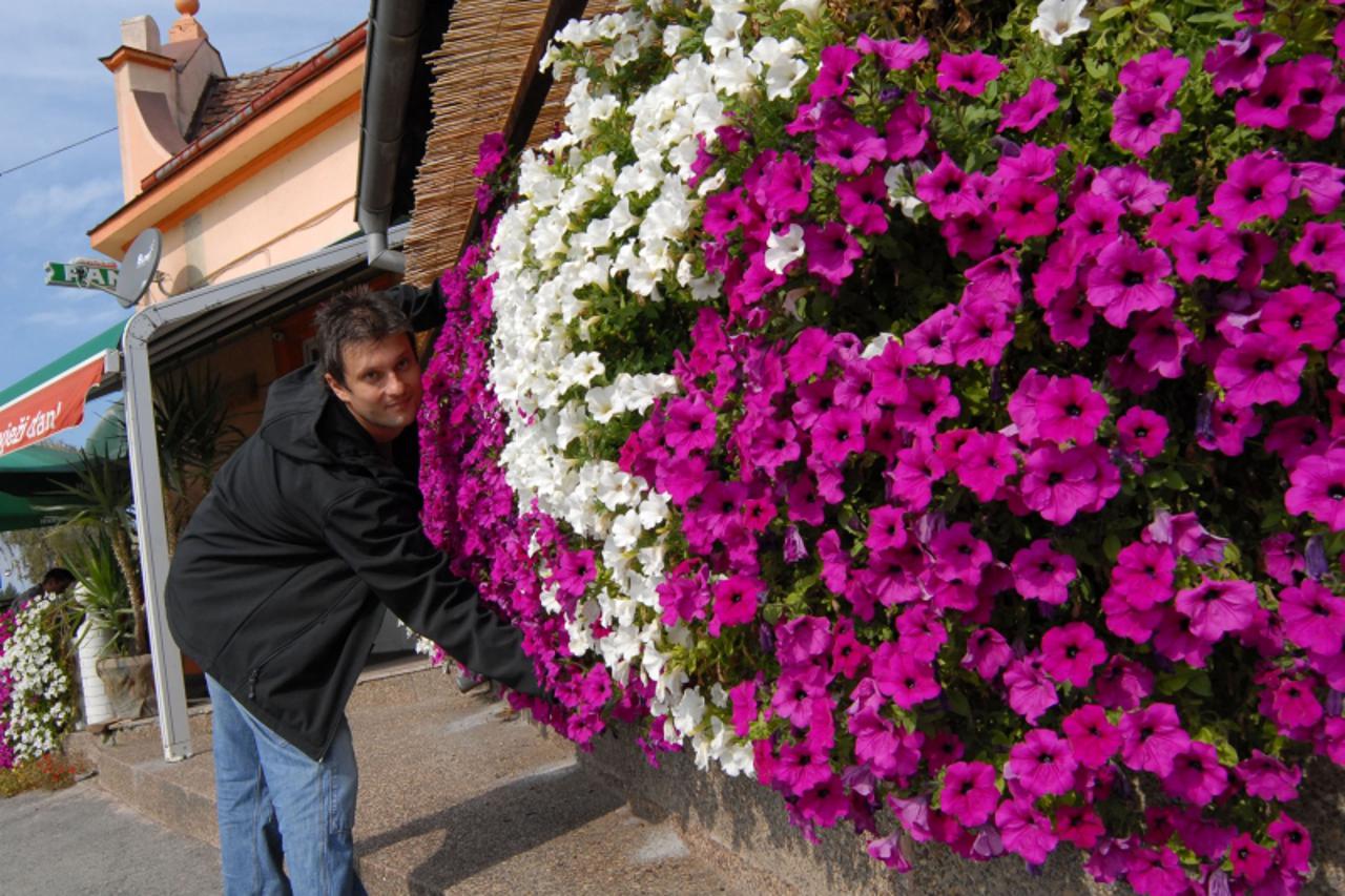 '26.09.13, Slavonski Brod , Hrvatska Caffe bar Come back - ograda ukrasenu surfinijama, vlasnika Damira Huljica Photo:Ivica Galovic/PIXSELL'