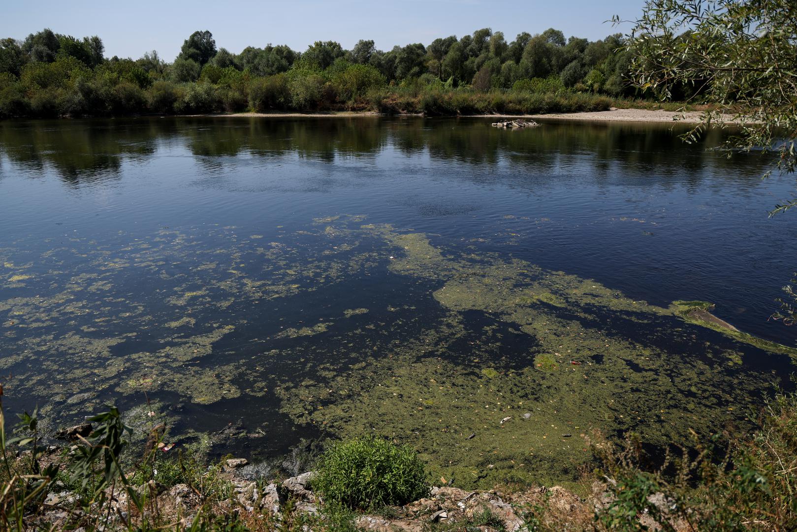 Što je dovelo do ugibanja životinja zasad nije poznato. Iz Holdinga ističu da Vodoopskrba i odvodnja nije nadležna za nadzor bioloških, kemijskih i fizikalnih pokazatelja kakvoće Save niti za tumačenje utjecaja aktualnog sušnog razdoblja i klimatskih uvjeta. Za te su aktivnosti, navode, nadležne Hrvatske vode.