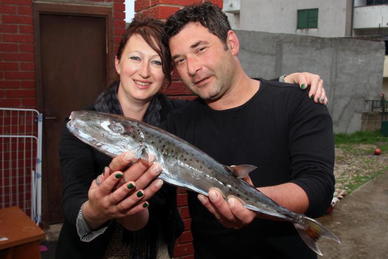 otrovna riba fugu, napuhača