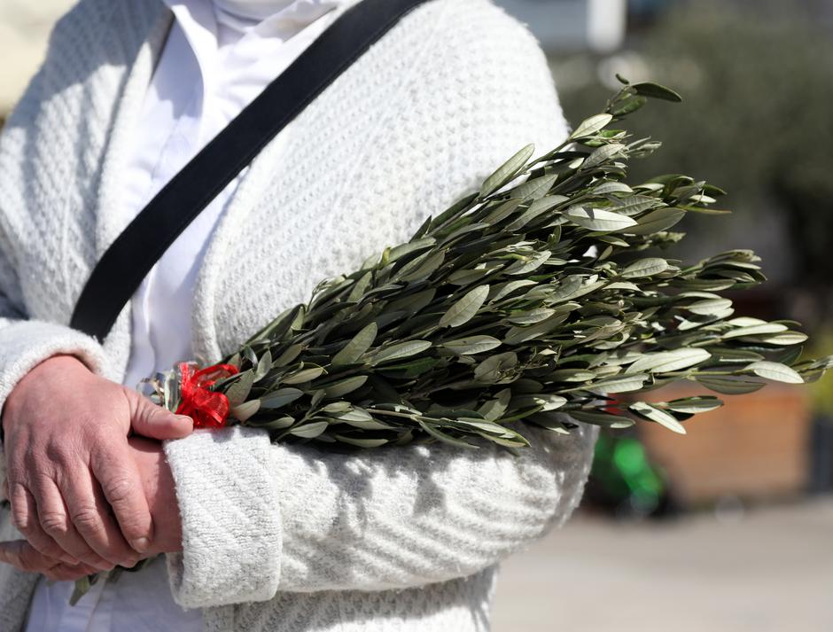 Šibenik: Biskup Rogi? predvodio misu na Cvjetnicu i blagoslovio gran?ice 