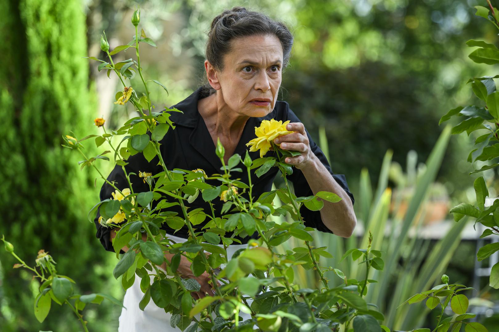 Katarina je svjesna da bi joj brak riješio brojne probleme te sestrama i njoj osigurao bolji život jer zna da je to jedini način da se riješe dugova u koje su upale. No za Vukase je to prije svega sjajna poslovna prilika jer se zemlja sestara Runje nalazi na vrijednoj lokaciji i savršeno se uklapa u njihovu ideju širenja obiteljskog biznisa pa žele ga se domoći pod svaku cijenu. Iako se Katarina dvoumi, donosi čvrstu odluku se kad se u selo vrati njezina neprežaljena ljubav. Prema joj je obećao da će je zauvijek čekati, vraća se kući s velikim iznenađenjem. 