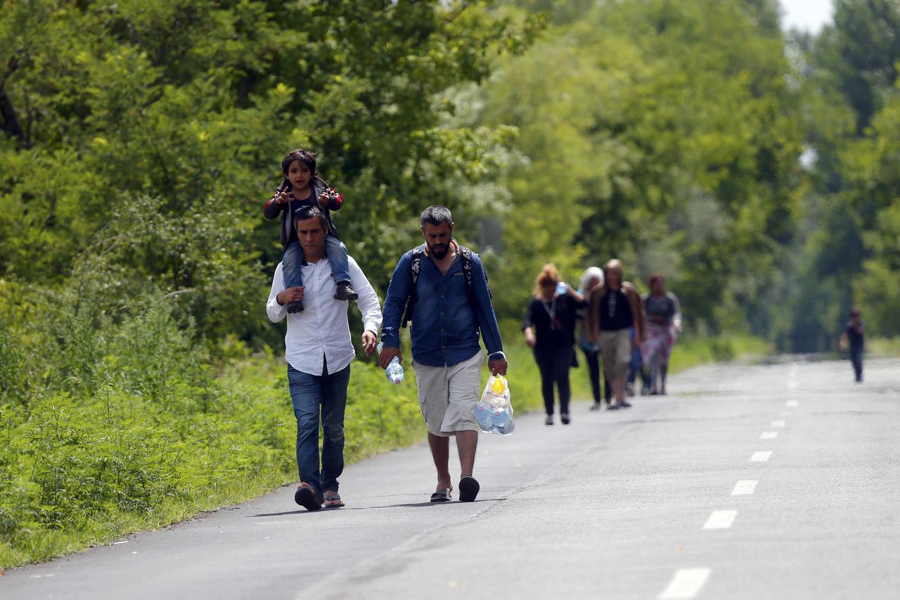Migrants from Syria walk along a road after crossing illegaly the border between Serbia and Hungary, near Morahalom, Hungary July 14, 2015. Hungary started building a fence along its border with Serbia to try to stop illegal migrants entering from the sou