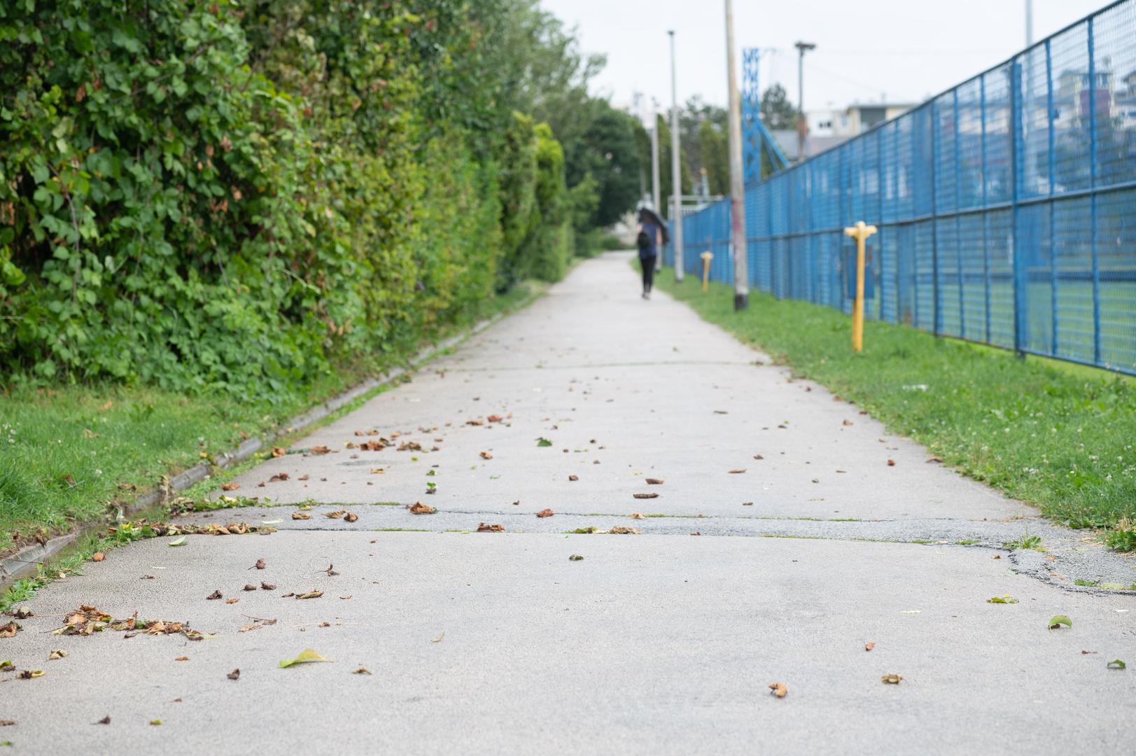01.07.2024., Zapresic - Oluja je prosla kroz Zapresic ostavljajuci tucu, otpale grane i lisce na cesti. Photo: Marko Juric/PIXSELL