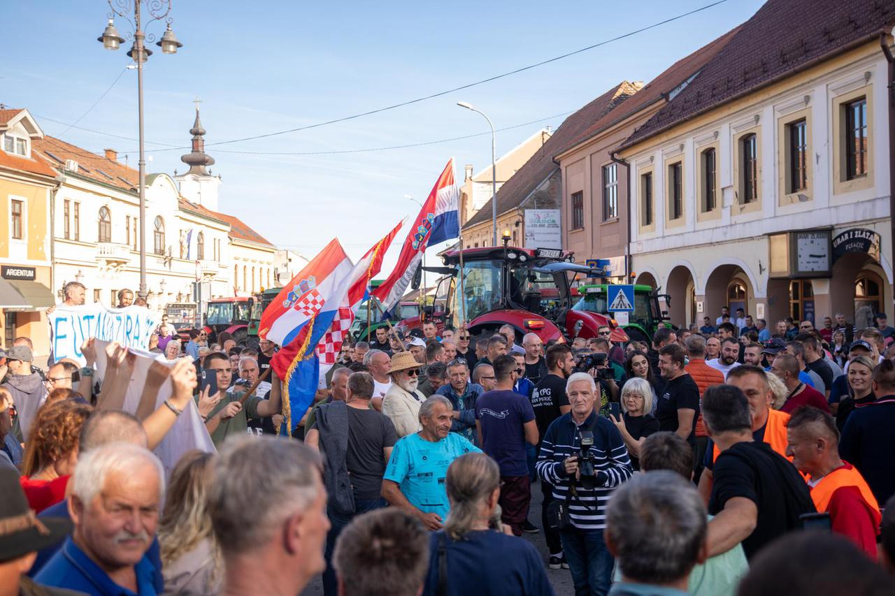 Prosvjed svinjogojaca u Vinkovcima zbog afričke svinjske kuge